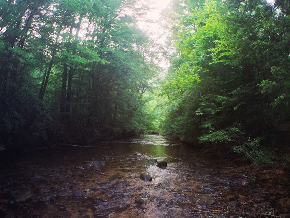 Laurel Fork Creek, Big South Fork country